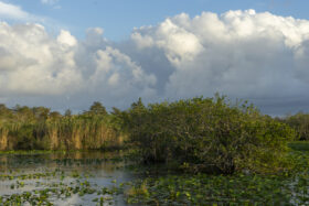 Big Cypress National Preserve